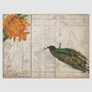 Peacock Ephemera-ontkoppelpapier Tissuepapier