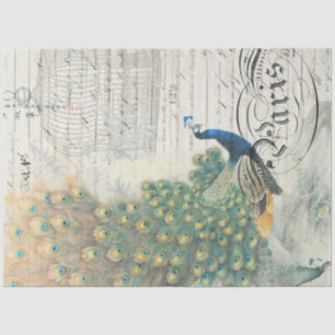 Peacock Ephemera-ontkoppelpapier Tissuepapier