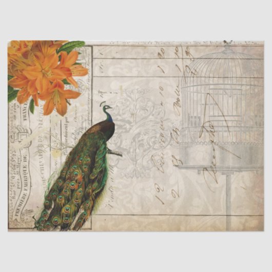 Peacock Ephemera Ontvapt weefsel Papierlandschap Tissuepapier (Voorkant)