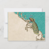 Peacock & Etchings vintages, Enregistrer la carte (Dos)