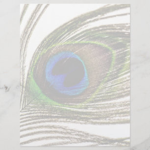 Peacock Feather