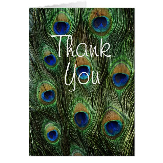 Peacock feather (Devant)
