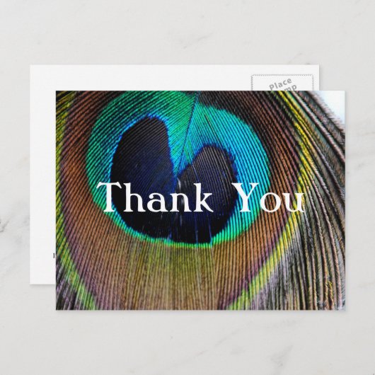 Peacock Feather Bedankt Post Kaarten (Voorkant / Achterkant)
