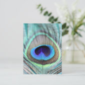 Peacock Feather Briefkaart (Staand voorkant)