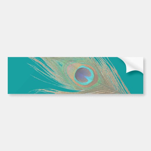 Peacock Feather Bumpersticker (Voorkant)