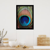 Peacock Feather Close-up Poster (Keuken)