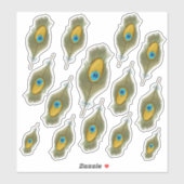 Peacock Feather Decal Sticker (Vel)