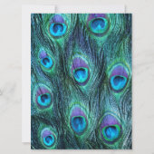 Peacock Feather Drama 6.5 "x 8 bruiloft uitnodigin Kaart (Achterkant)