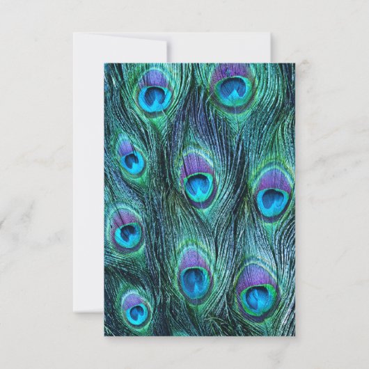 Peacock Feather Drame Faire-part de mariage - RSVP (Dos)