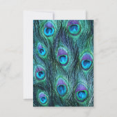 Peacock Feather Drame Faire-part de mariage - RSVP (Dos)