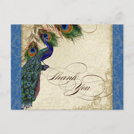 Peacock & Feather Formal Thank You Note Royal Blue Briefkaart (Voorkant)