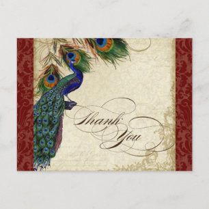 Peacock & Feather Formeel Dank u voor uw opmerking Briefkaart