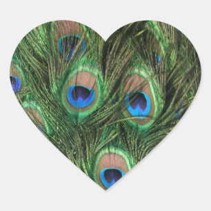 Peacock Feather Heart Hart Sticker