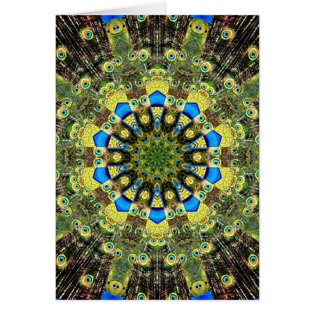 Peacock Feather Kaleidoscoop 1 (Voorkant)