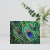 Peacock Feather Lucky Briefkaart (Staand voorkant)