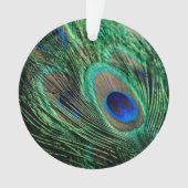 Peacock Feather Lucky Ornament (voorkant)