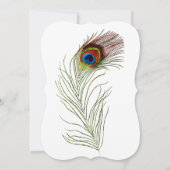 Peacock Feather Minimaliste Élégante Invitation (Dos)