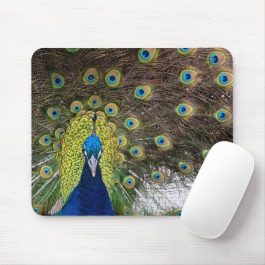 Peacock Feather Muismat (Met muis)