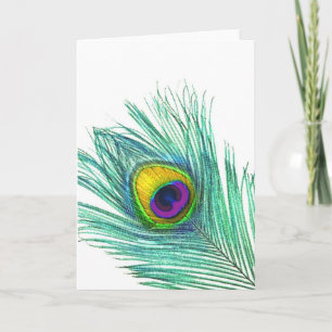 Peacock Feather note cards Kaart