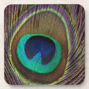 Peacock Feather Onderzetter