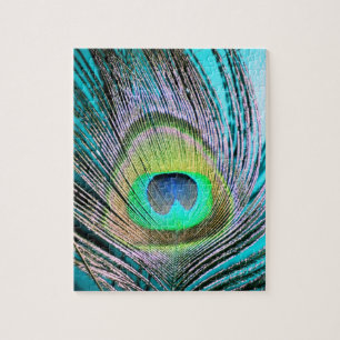 Peacock Feather op Turquoise Legpuzzel