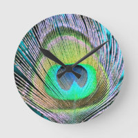 Peacock Feather op Turquoise