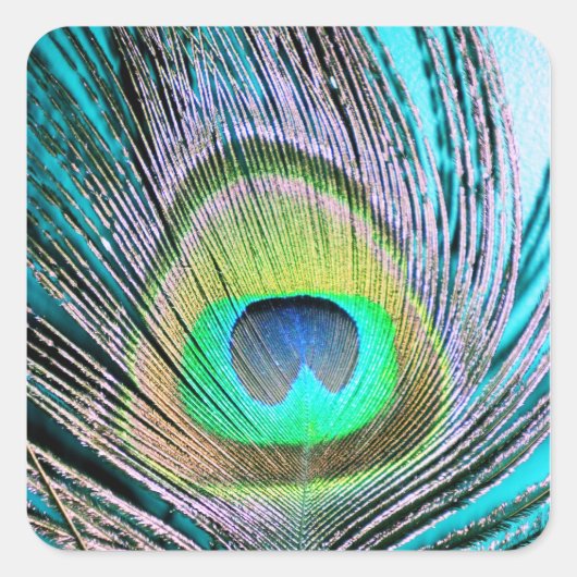 Peacock Feather op Turquoise Vierkante Sticker (Voorkant)