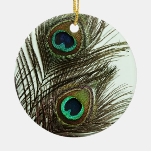 Peacock Feather Ornament (Voorkant)