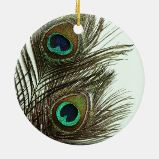 Peacock Feather Ornament (Achterkant)