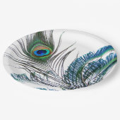 Peacock Feather Paper Bord (Gekanteld)