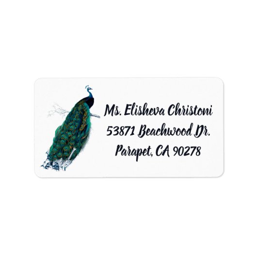 Peacock Feather Peacocks Return Address Labels (Voorkant)