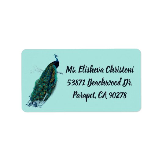 Peacock Feather Peacocks Return Address Labels (Voorkant)