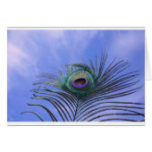 Peacock Feather Photo Light Blue Card (Devant horizontal)
