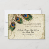 Peacock & Feather Réception officielle Invitation (Dos)