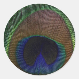 Peacock Feather Ronde Sticker
