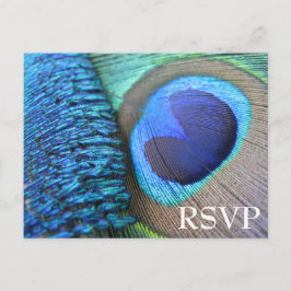 Peacock Feather RSVP-Briefkaart Uitnodiging Briefkaart