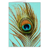 Peacock Feather Set 1107 (Voorkant)