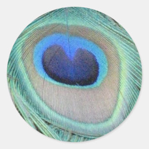 Peacock Feather Sticker