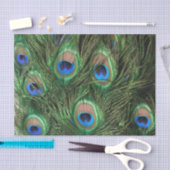 Peacock Feather Tissuepapier (Craft)