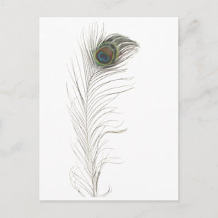 Peacock Feather Uitnodiging Briefkaart