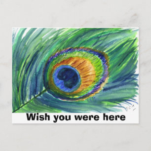 peacock feather, Wish you were here Briefkaart