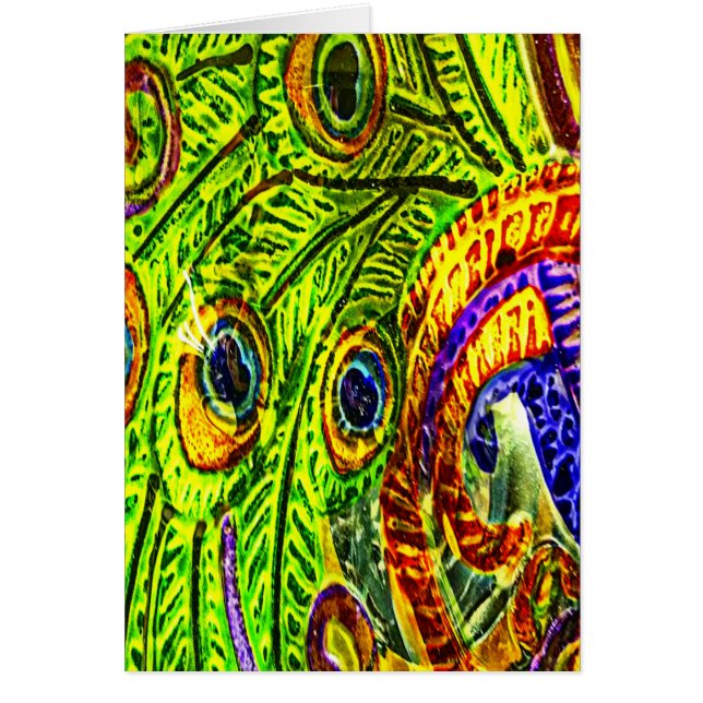 Peacock Feathers (Voorkant)