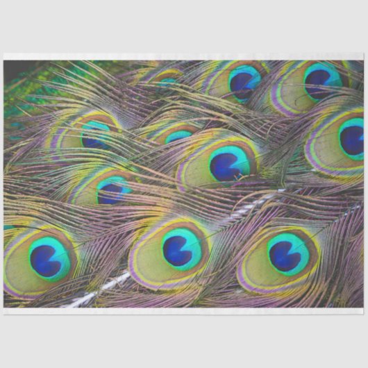 Peacock Feathers 1 debetpapier Tissuepapier (Voorkant)