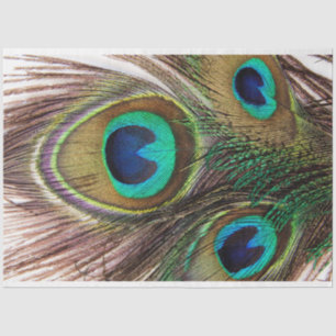 Peacock Feathers 2 debetpapier Tissuepapier