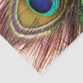 Peacock Feathers 4 Weefselpapier Tissuepapier (Detail)