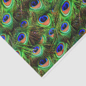 Peacock Feathers 7A-B opties Tissuepapier (Detail)