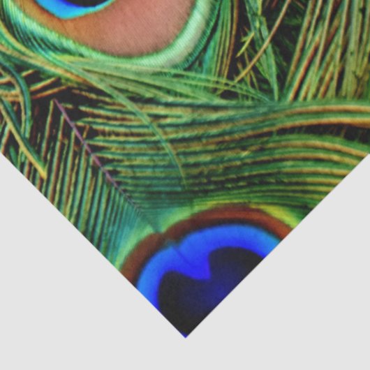 Peacock Feathers Achtergronddocumentpapier Tissuepapier (Detail)