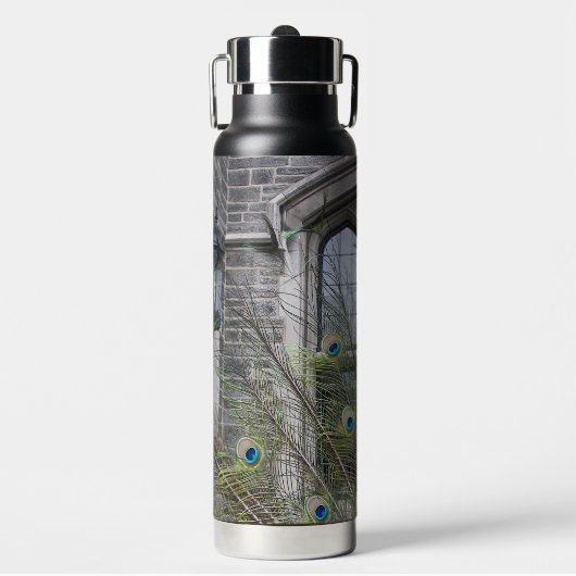 Peacock Feathers and Gothic Windows Waterfles (Voorkant)