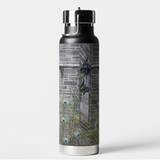 Peacock Feathers and Gothic Windows Waterfles (Rechts)