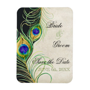 Peacock Feathers Black Damask Save the Date Magneet
